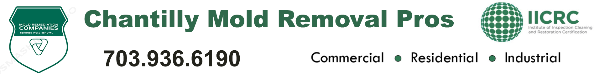 Chantilly Mold Removal Pros