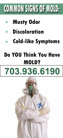 Chantilly Mold Remediation Contractor